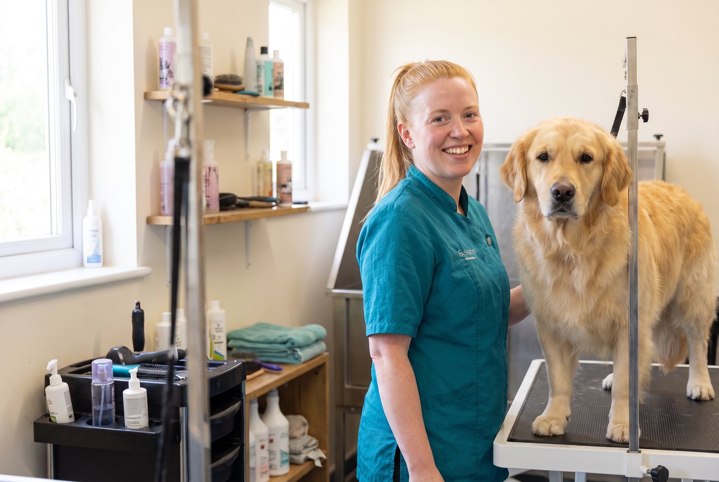 A dog groomer laughing as she washes a soapy golden retriever
